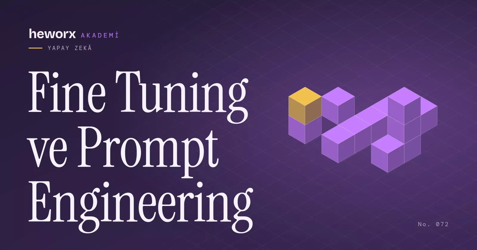 Fine Tuning ve Prompt Engineering · heworx Akademi