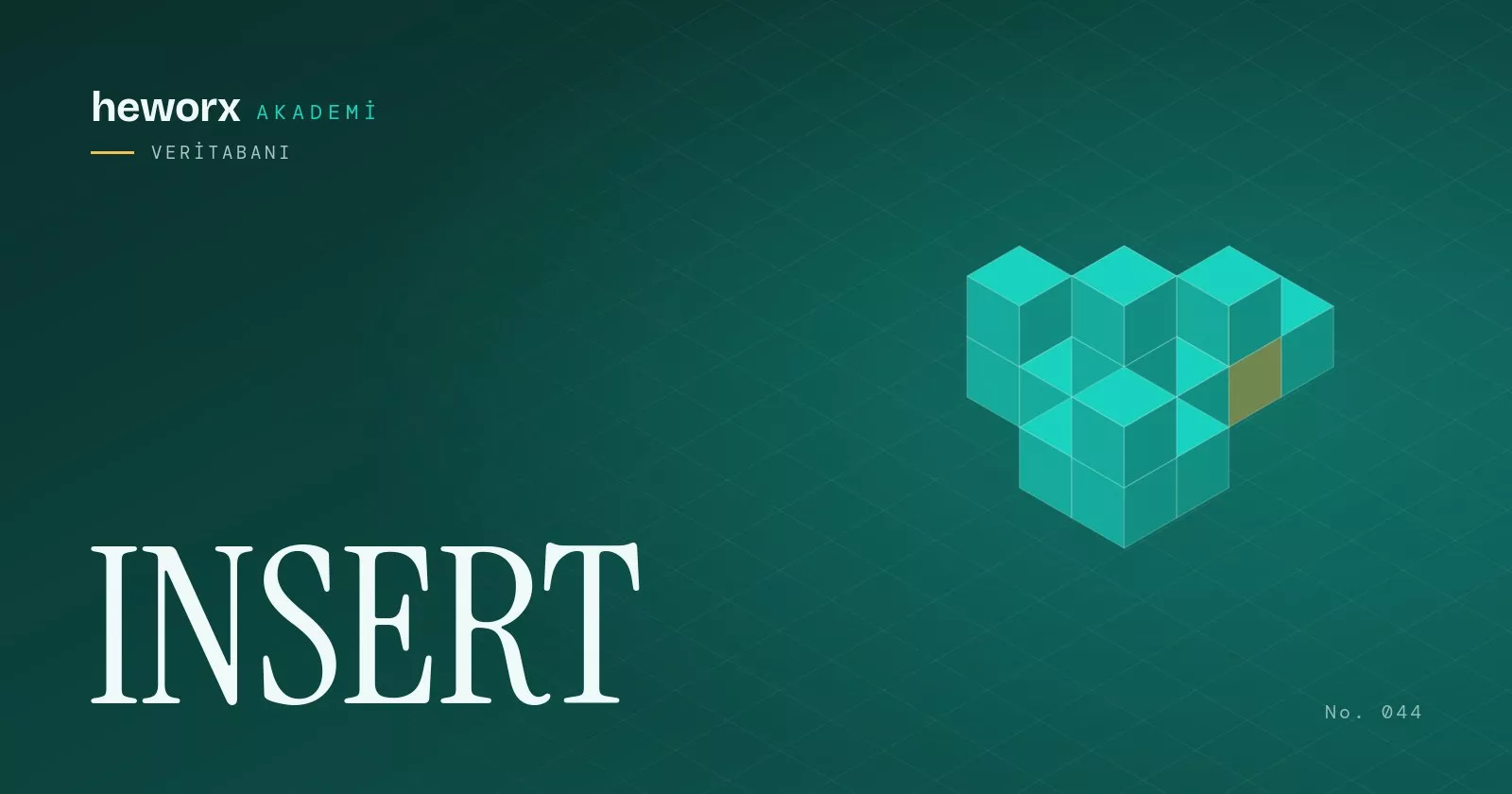 INSERT · heworx Akademi