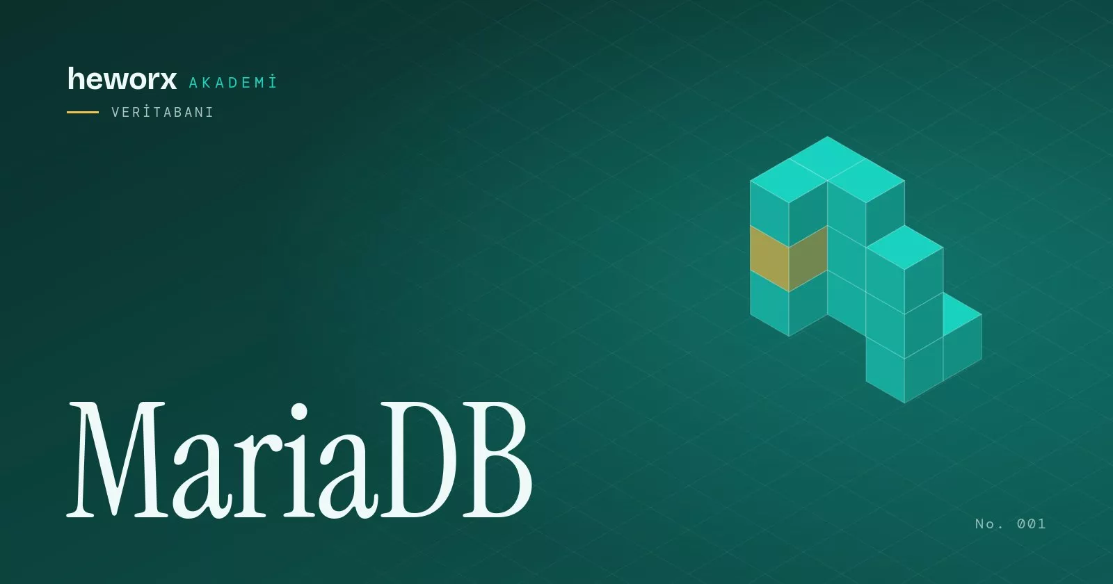 MariaDB · heworx Akademi