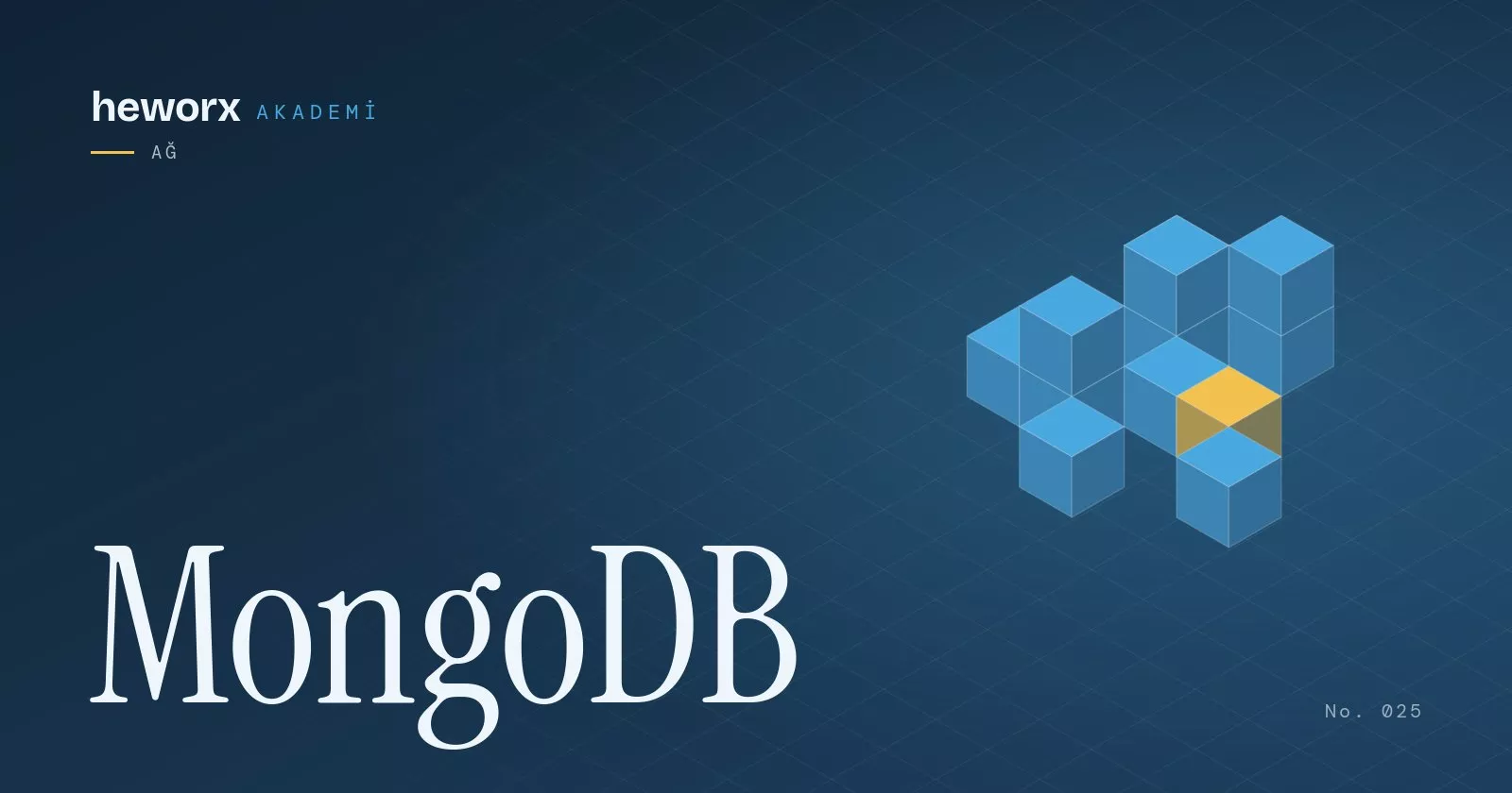 MongoDB · heworx Akademi