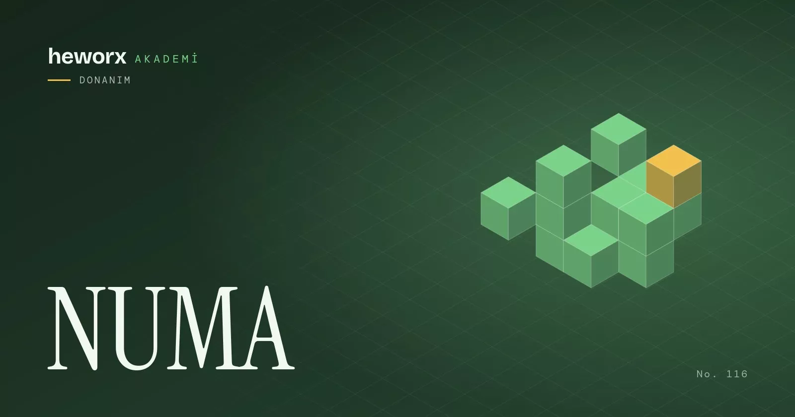 NUMA · heworx Akademi