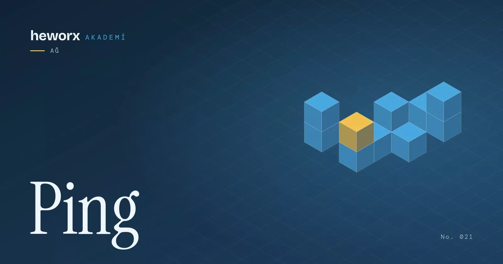 Ping · heworx Akademi