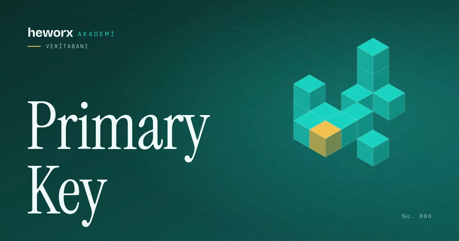 Primary Key · heworx Akademi