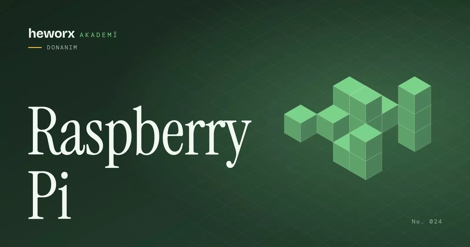 Raspberry Pi · heworx Akademi