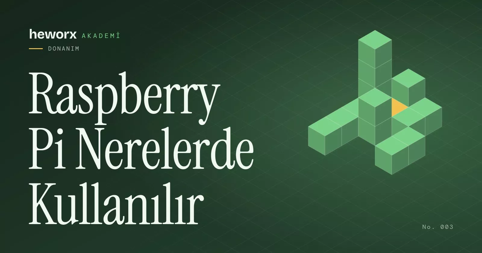 Raspberry Pi Nerelerde Kullanılır · heworx Akademi