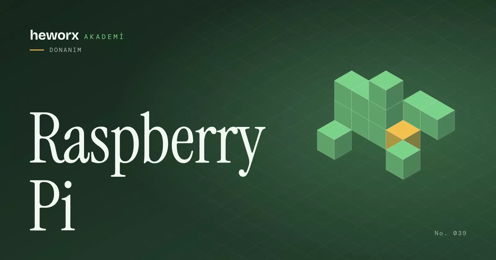 Raspberry Pi · heworx Akademi