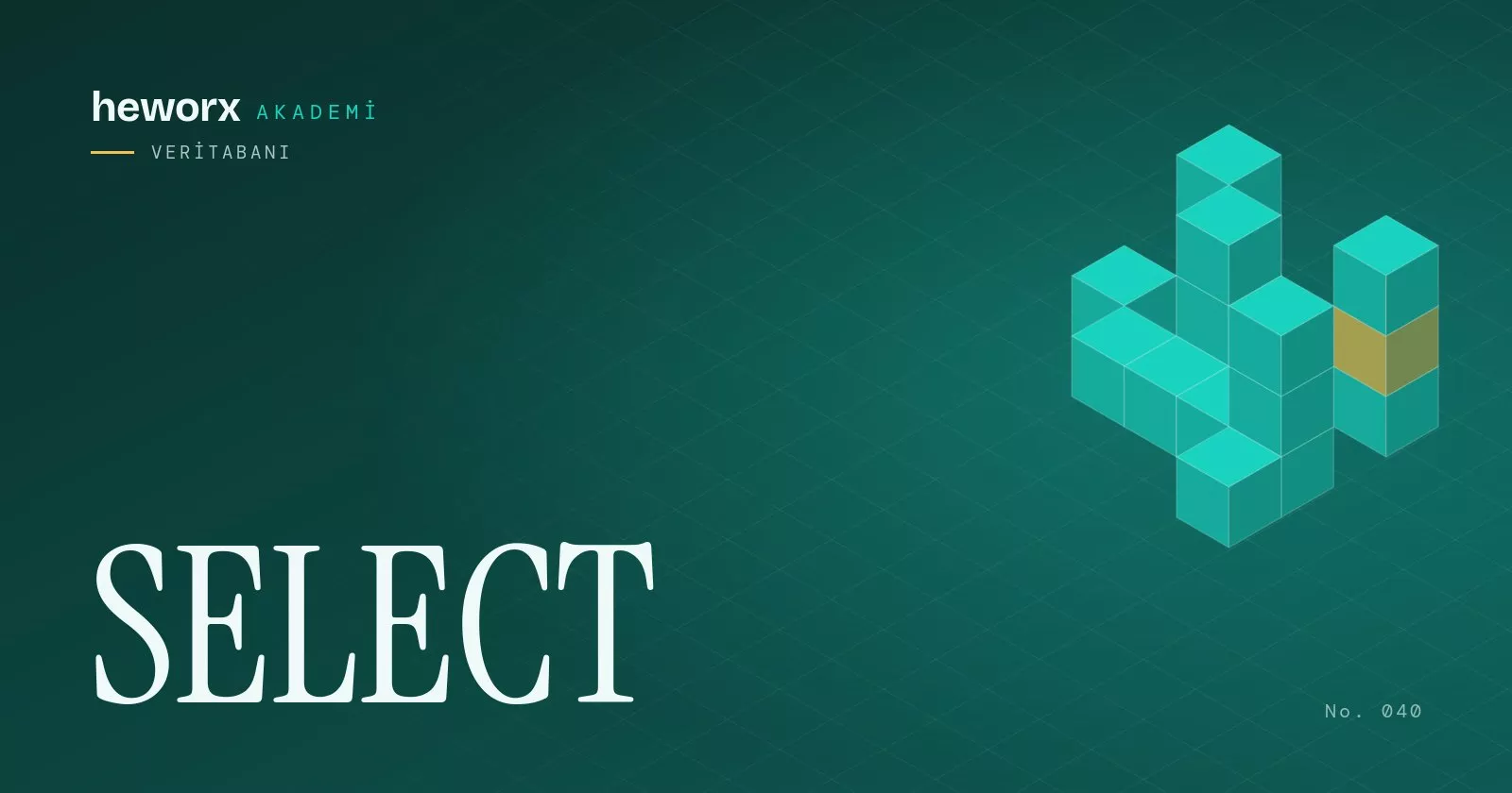 SELECT · heworx Akademi